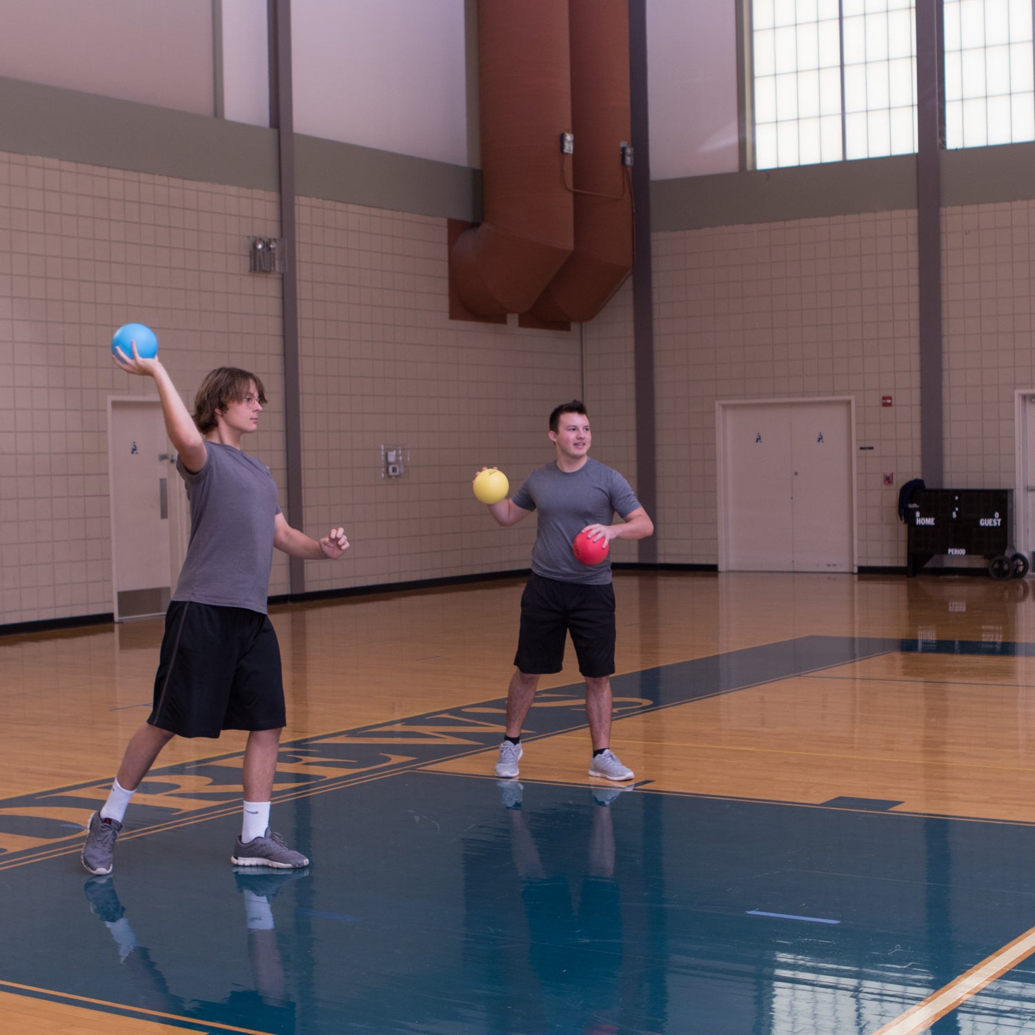 RHINO SKIN BASIC SET 6"