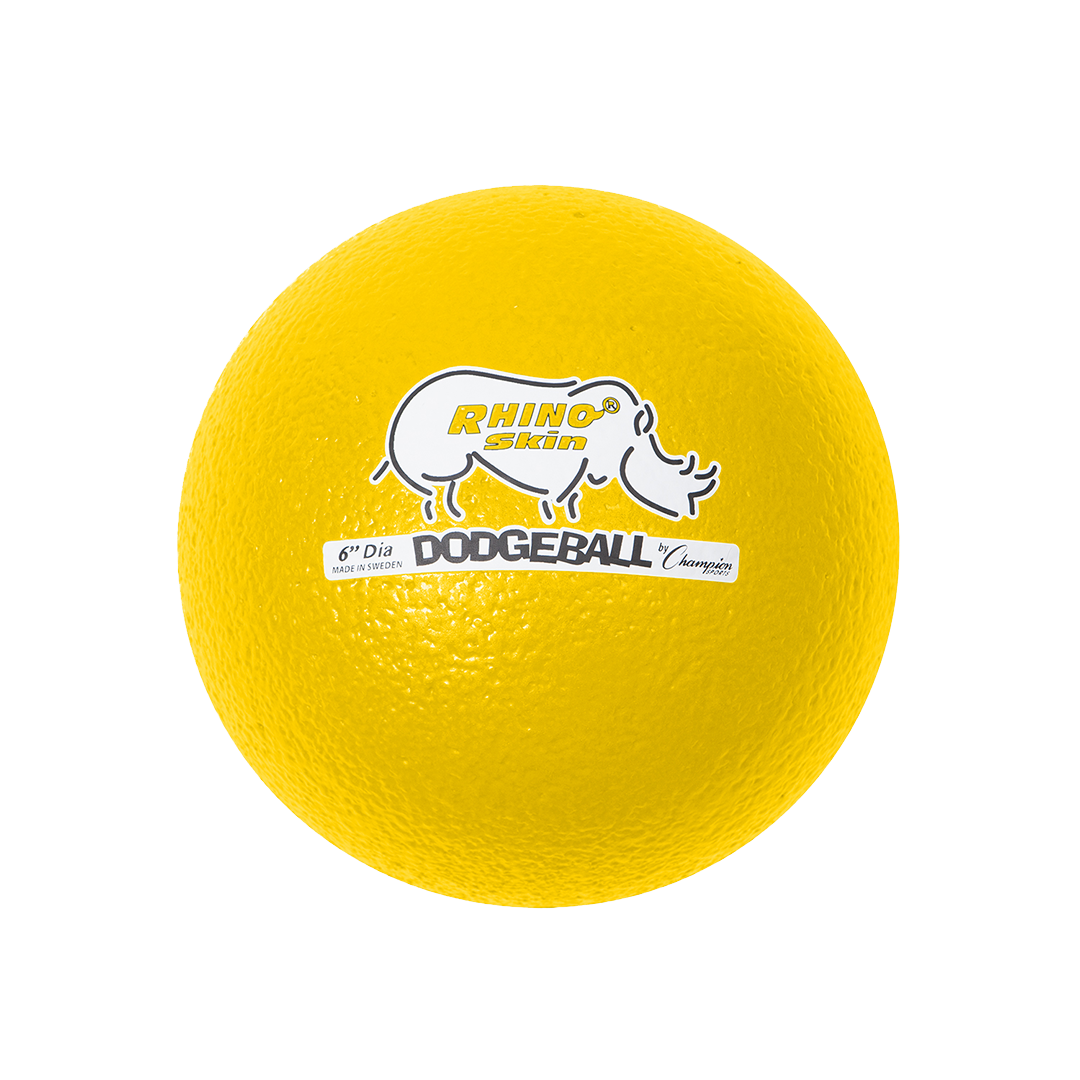 6" Dodgeball Set